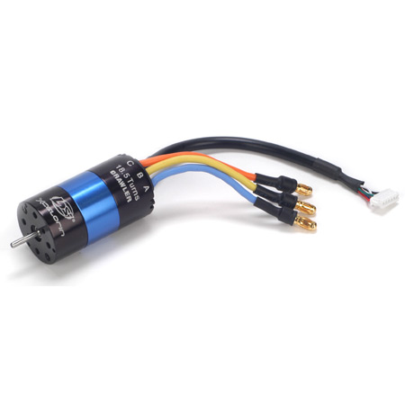 Team Losi Xcelorin 1:18 Brushless Motor